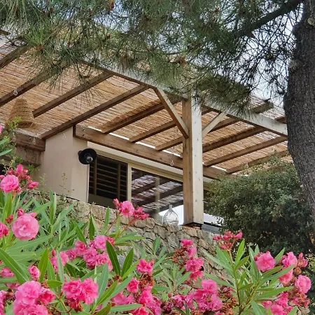 Les Lauriers Roses Apartment