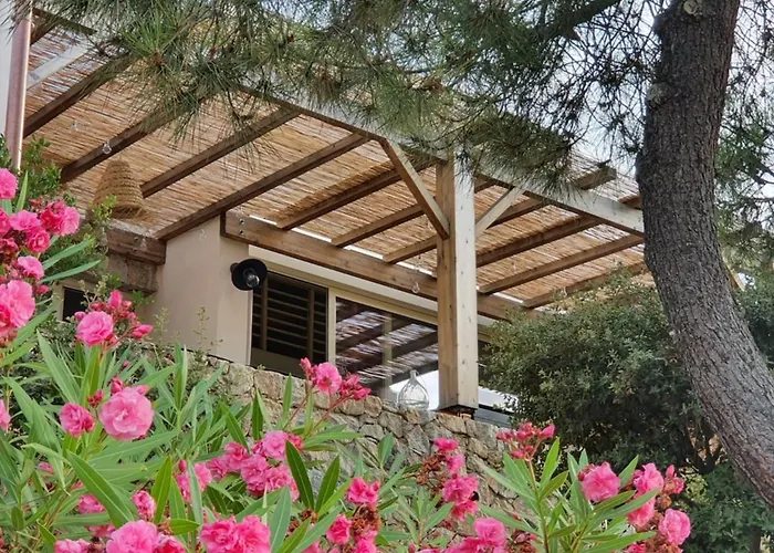 Les Lauriers Roses Lumio (Corsica)